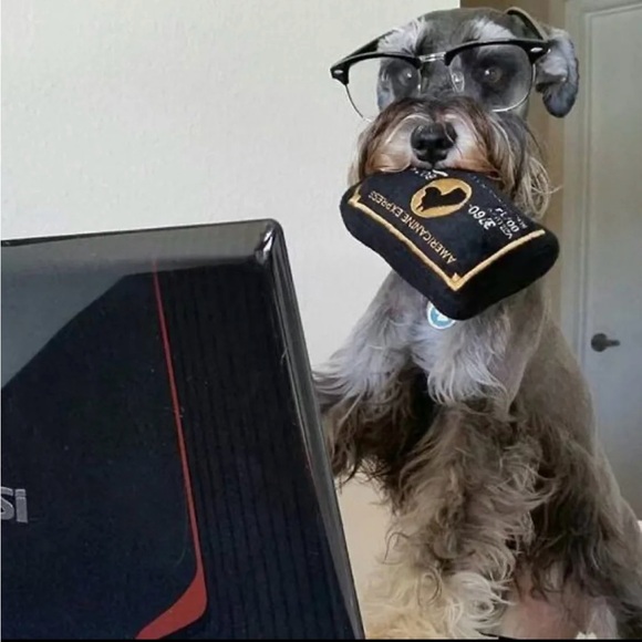 AMERICANINE-EDPRESS BLACK CARD PET TOY FOR DOG / CAT - Picture 2 of 3